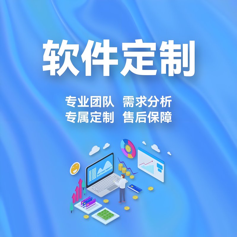 软件定制引领信息化新时代